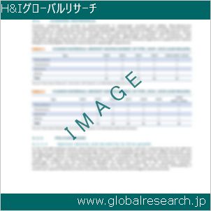 グローバルリサーチ調査レポートのイメージ